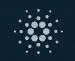 /navigation/cardano-blockchainexplorer/cardano-blockchainexplorer.png