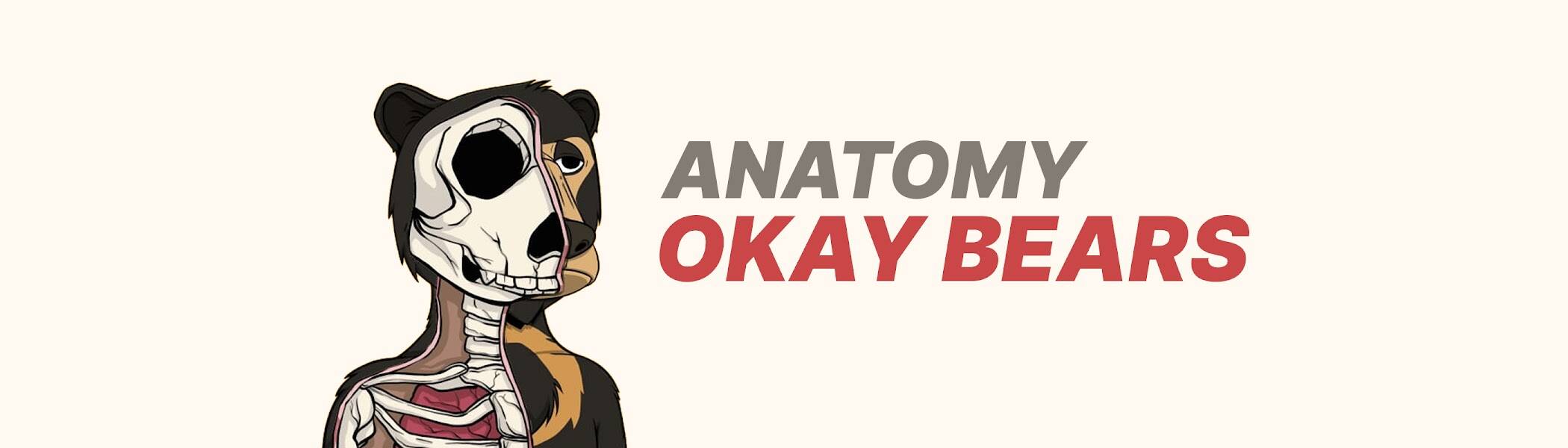 /nfts/anatomyokaybears/unnamed.jpg