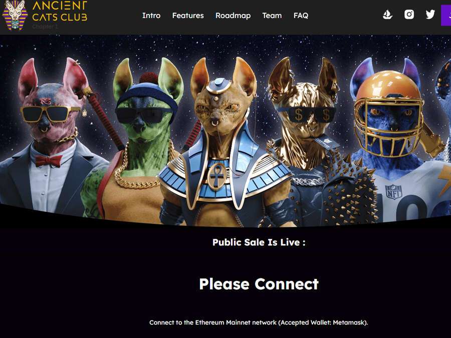 NFT /nfts/ancientcatsclub/image-20220902145104169.jpg