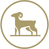 “ARIES FINANCIAL 是一个雄心勃勃的项目,它将 DeFi 的最佳实用程序结合在一个应用程序中。” /nfts/aries-financial/aries-financial.png