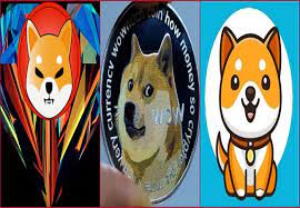 eee /nfts/baby-doge-shiba-inus/eee.png