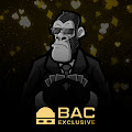 /nfts/bac-official-casino/bac-official-casino.png