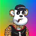 /nfts/bball-pandas/bball-pandas.png