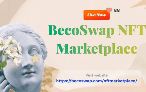 ndisan /nfts/becoswap/ndisan.png