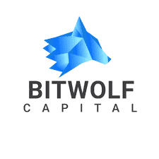 ndisn /nfts/bitwolves/ndisn.png