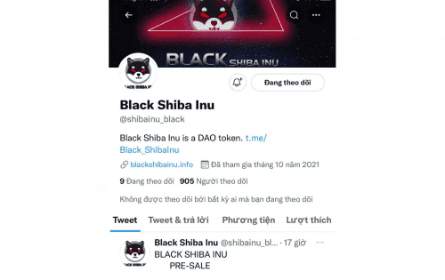 dsin. /nfts/black-shiba-inu/dsin..png