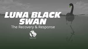 insad /nfts/blackswan/insad.png