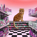 /nfts/bodega-cat-club/bodega-cat-club.png
