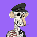 /nfts/bored-ape-anatomy-yacht-club/bored-ape-anatomy-yacht-club.png