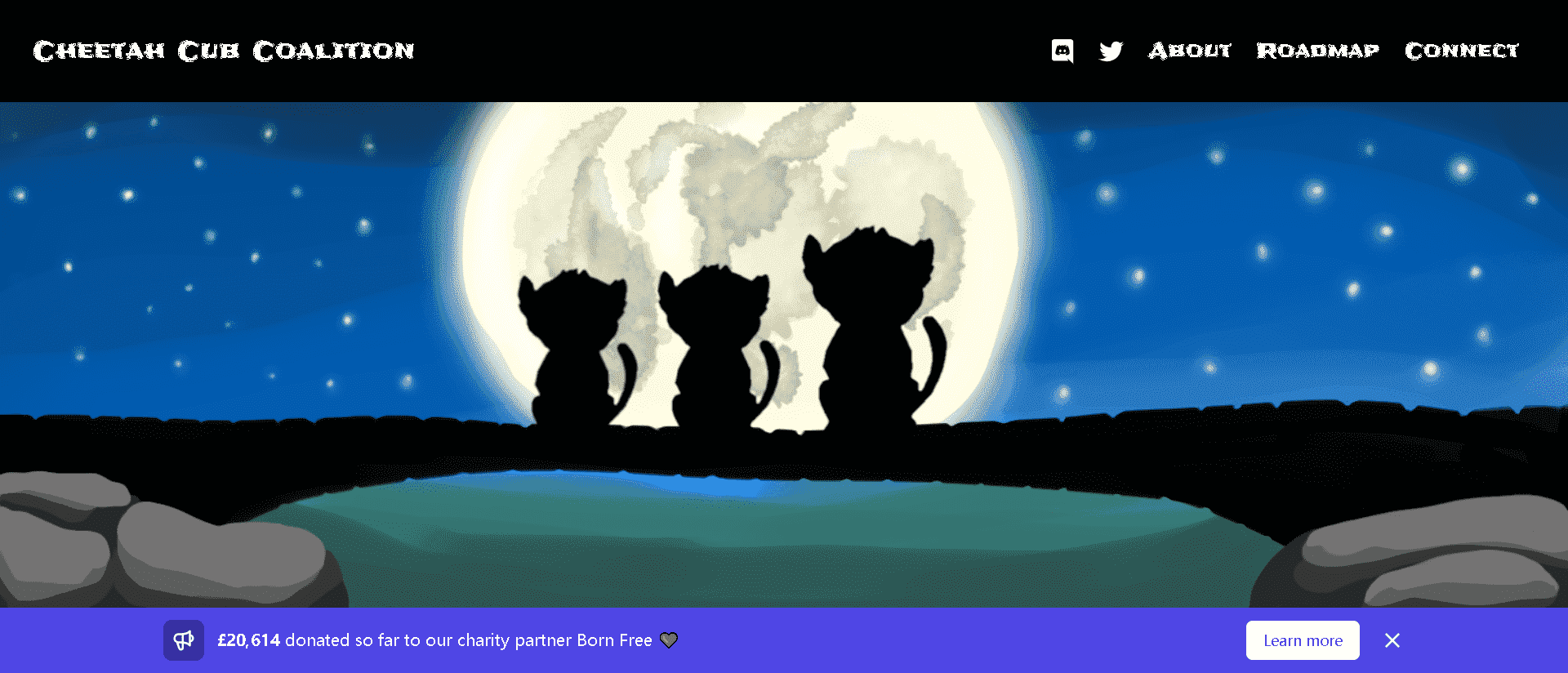 nft /nfts/cheetahcubcoalition/76543_new.png