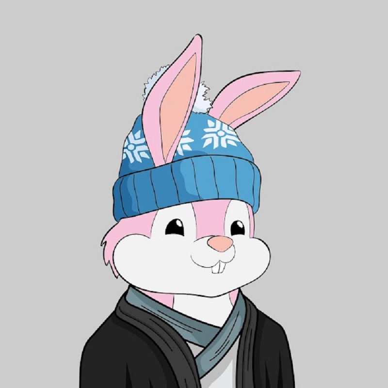 /nfts/chunky-bunnies-nft/01.jpg