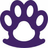 CoPuppy 是 BSC 上最具吸引力的元界项目。 项目包括收藏品、游戏、金融等。 /nfts/copuppy/copuppy.png