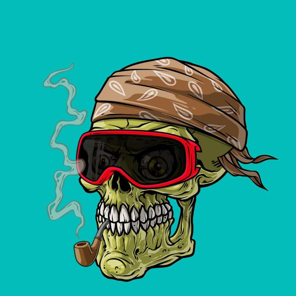 /nfts/crazyskullznft/1.jpg