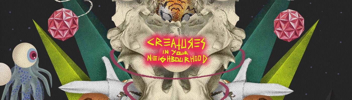 /nfts/creatures-in-your-neighborhood/unnamed.jpg