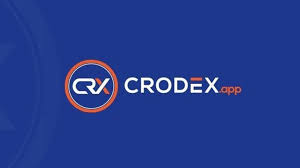 idan /nfts/crodex/idan.png