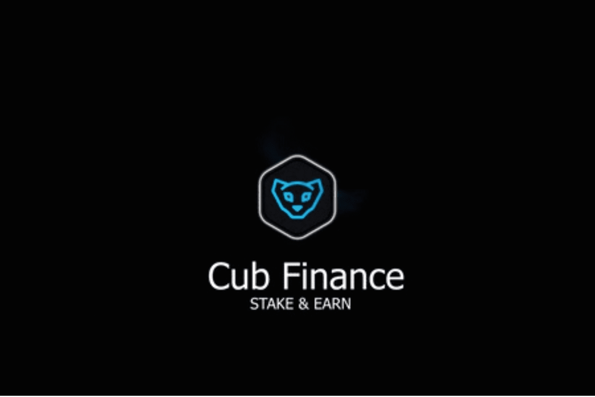 cubfinance-dapp-defi-bsc-image2_bbb2c5482d7b24b87d230162e19751ec /nfts/cubfinance/cubfinance-dapp-defi-bsc-image2_bbb2c5482d7b24b87d230162e19751ec.png