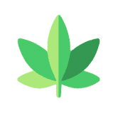 BSC 上最时髦的 AMM 和单产农业平台 /nfts/dankswap/dankswap.png