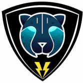 Electra 是一种基于币安智能链 (BSC) 的通缩、社区驱动的 BEP-20 代币。我们致力于成为下一代混合支付。 /nfts/electra/electra.png