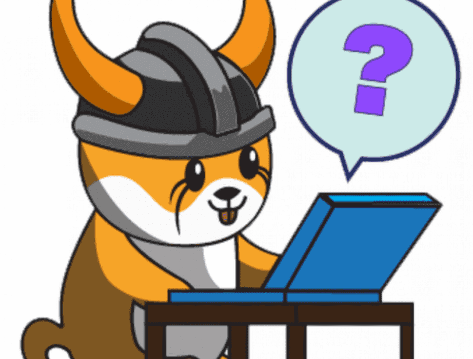 nft /nfts/floki-inu-diamond-hands-ruby-tier/01.png