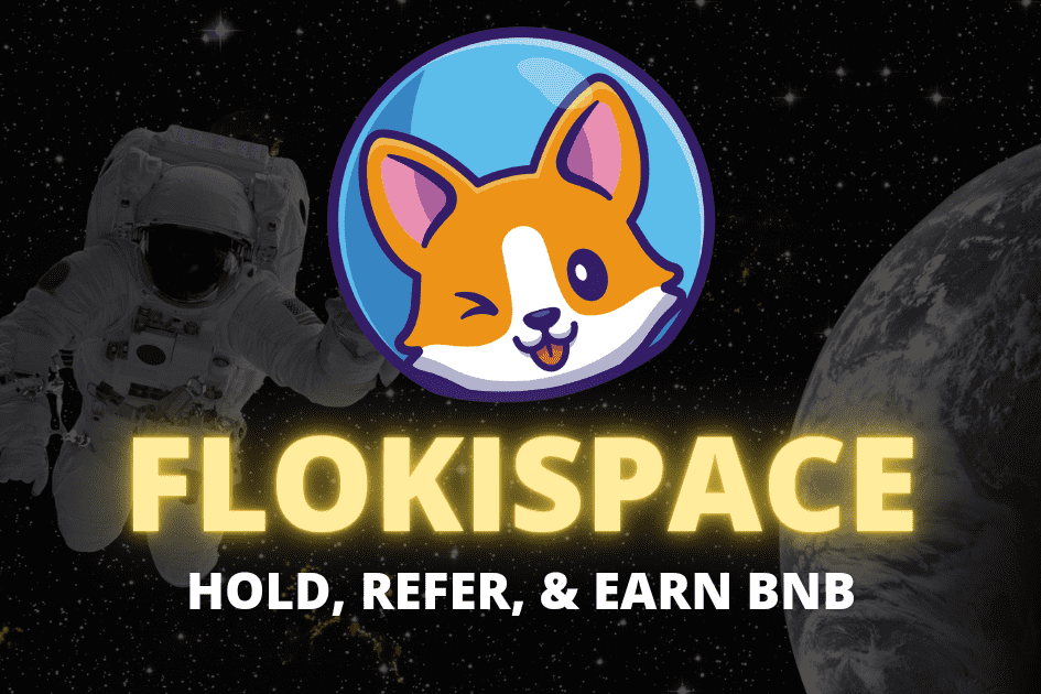 /nfts/flokispace/flokispace-dapp-collectibles-bsc-image1_13edd93399b888e11cbe96825edd33dc.png