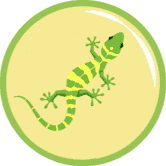 币安智能链上的第一个非营利性收益农场和 AMM。 /nfts/gecko-swap/gecko-swap.png