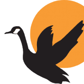 代币不是一种金融工具,不会试图与任何人竞争并接管加密货币的世界。 这只是鹅。 /nfts/goose-token/goose-token.png