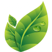 Green Defi 团队是一群环保主义者、开发人员、加密专业人士和对加密货币感到兴奋的人。 /nfts/green-defi/green-defi.png