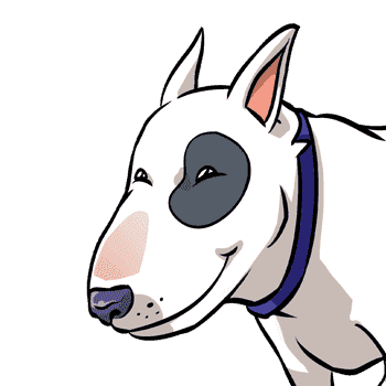 /nfts/happy-bull-terrier/happy-bull-terrier.png