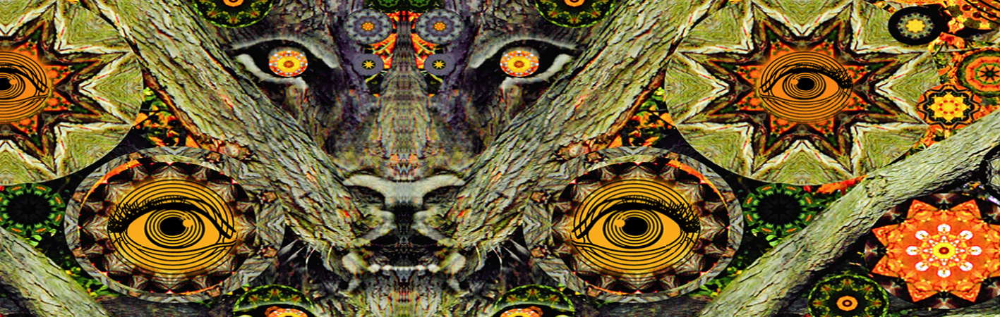 /nfts/larrycarlson/%E5%BE%AE%E4%BF%A1%E6%88%AA%E5%9B%BE_20220828114450.png