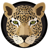 LeopardSwap 是一个革命性的以影响为导向的农业生态系统,具有 AMM、自动流动性、彩票、老虎机等 /nfts/leopardswap-polygon/leopardswap-polygon.png