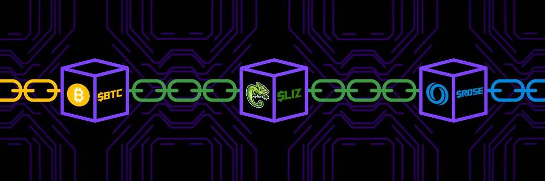 1080x360 /nfts/lizard/1080x360.jpg