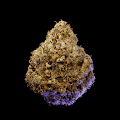 Gen0 Buds 用于在 420.game 中进行繁殖和质押 /nfts/look-labs-420-buds/look-labs-420-buds.png