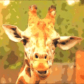 /nfts/martythegiraffe/martythegiraffe.png