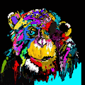 /nfts/monkey-nft-v2/monkey-nft-v2.png