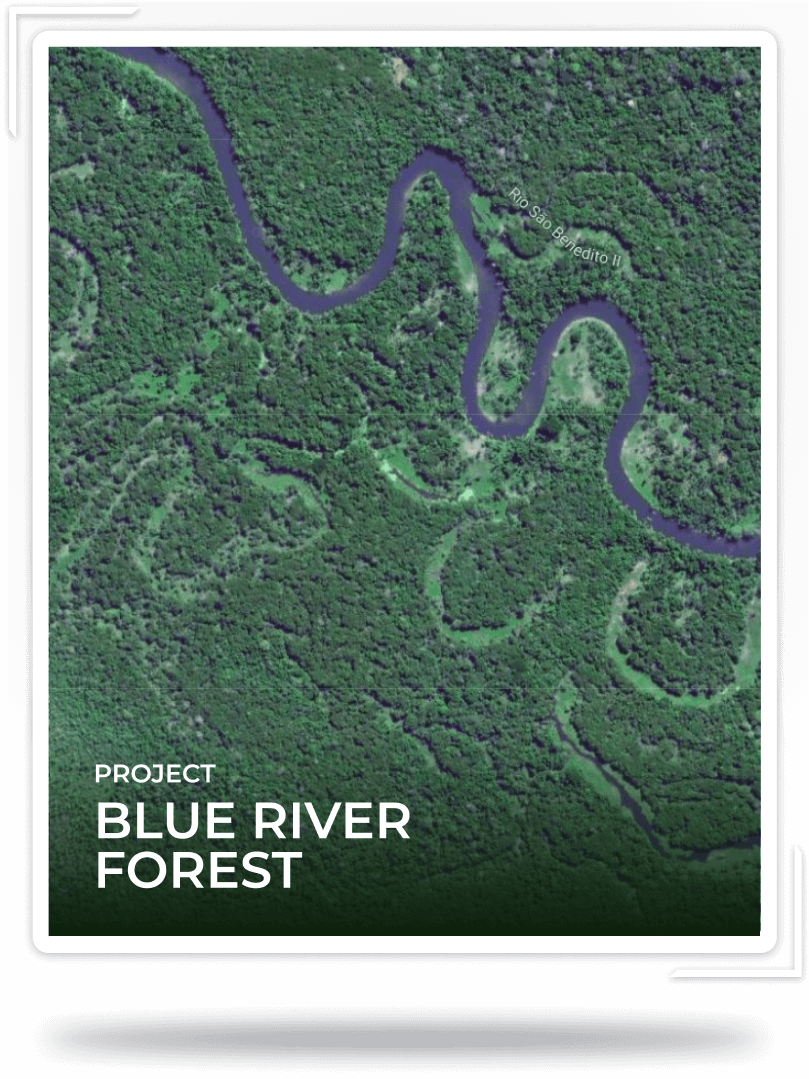 /nfts/moss-amazon-forest/blue-river-hero.130eb56f.png