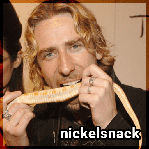 nft /nfts/nickelbackdao/unnamed.png