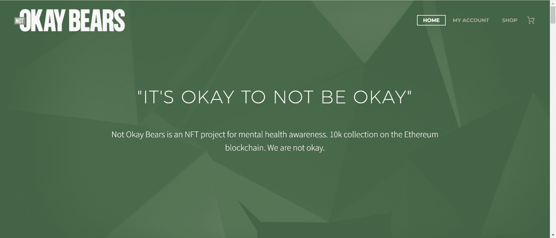 1 /nfts/notokaybears/15614581323.png