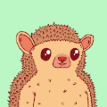 Hedgiez 是美丽的、独一无二的区块链刺猬。 /nfts/official-hedgiez/official-hedgiez.png