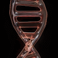 /nfts/oil-dna-collection/oil-dna-collection.png