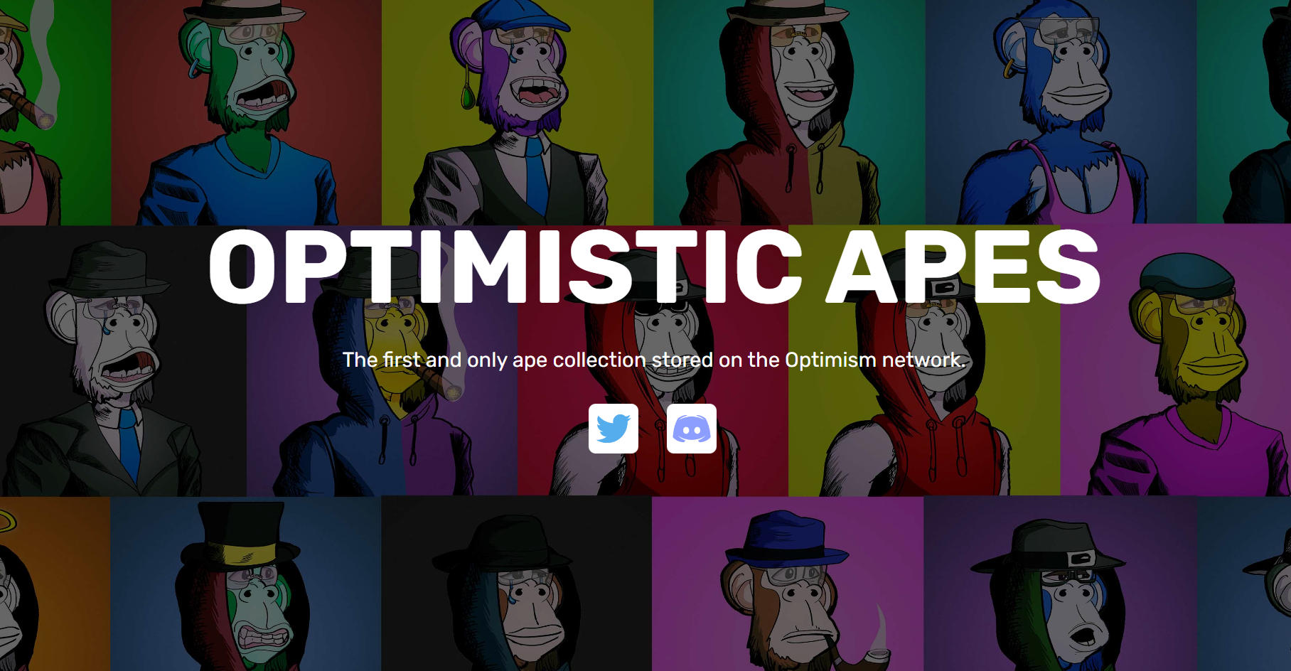 /nfts/optimistic-apes/image-20220822161100790.png