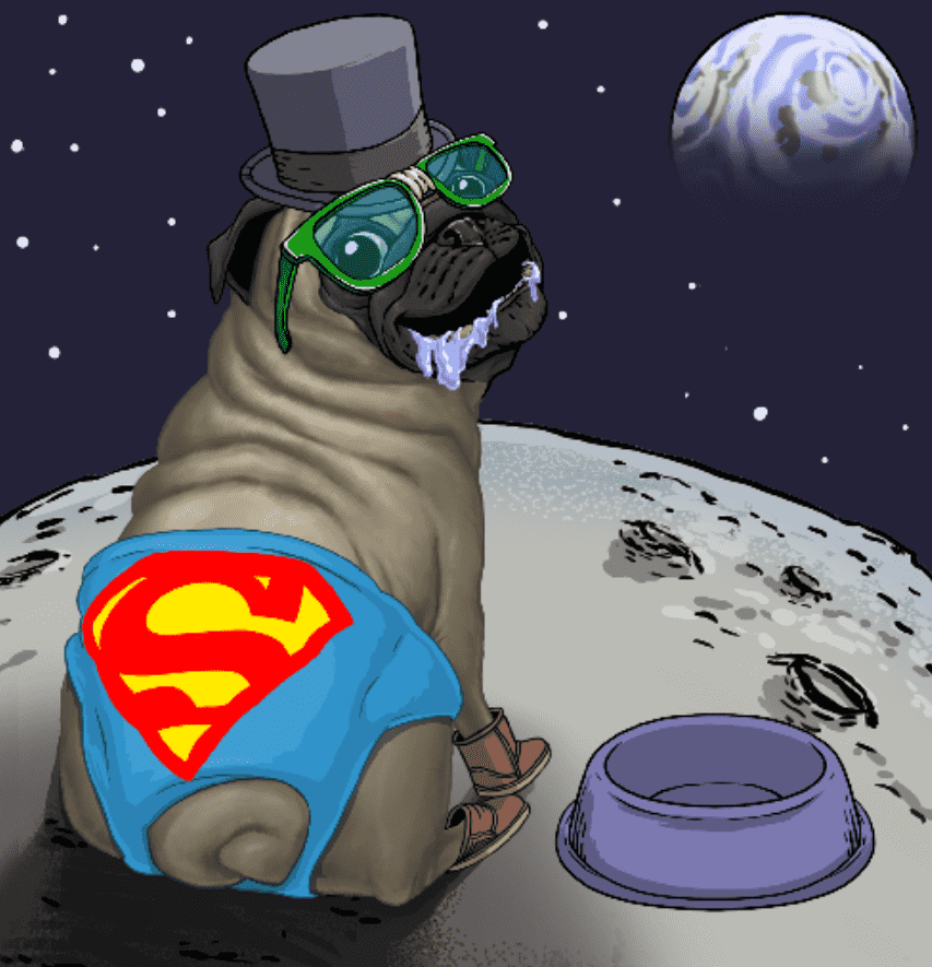 /nfts/pamperedpugs/1.png