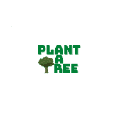 /nfts/plant-a-tree/plant-a-tree.png