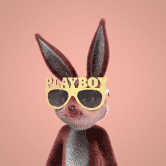 /nfts/playboy-rabbitars-official/playboy-rabbitars-official.png