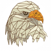 /nfts/polyfalcon-finance/polyfalcon-finance.png