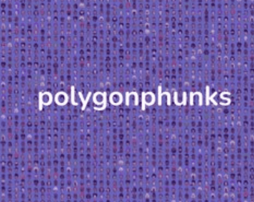 /nfts/polygonpunks/01.png