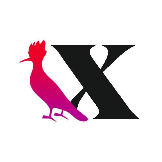 收藏家系列由 2022 年 6 月 14 日第一枚 ReservaX“手枪鸟”的持有者铸造。 /nfts/reservaxcollector/reservaxcollector.jpg