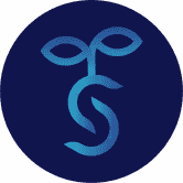 SeedMoney Finance 生态系统下引入的第一层 /nfts/seedmoney-finance-layered/seedmoney-finance-layered.png