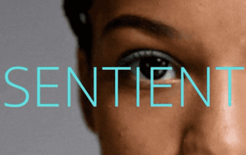 sentientswap-dapp-defi-matic-image1-500x315_4e5dab9f61c1b8c31a88efafd6bc00a6 /nfts/sentient-swap/sentientswap-dapp-defi-matic-image1-500x315_4e5dab9f61c1b8c31a88efafd6bc00a6.png