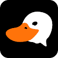 /nfts/slacker-duck-pond/slacker-duck-pond.png