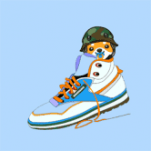 /nfts/sneakers-doge/sneakers-doge.png